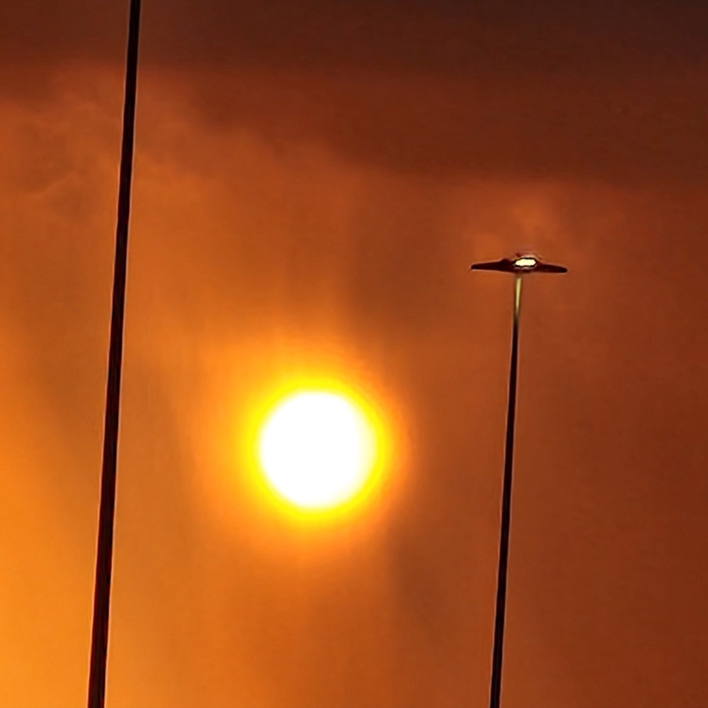 Meet your Posher, Ebony